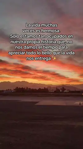Me siento agradecida 🫰🏼 #frases #reflexiones #vida #positivismo #agradecida #agradecimiento #grateful #pensamientos #letras #ideas #sentimientos #vibras #vibraciones #sunset #bonito 