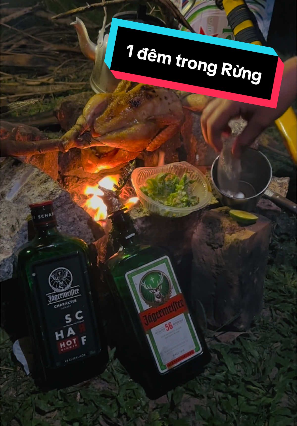 Người đi 1 nửa hồn tôi mất, 1 nửa hồn kia hoá dại khờ…  #chilling #chill #jager #jagerman #tuyhoaphuyen #traminh #xuhuongtiktok #xemaytraminh #TuyHoa #leanontiktok 