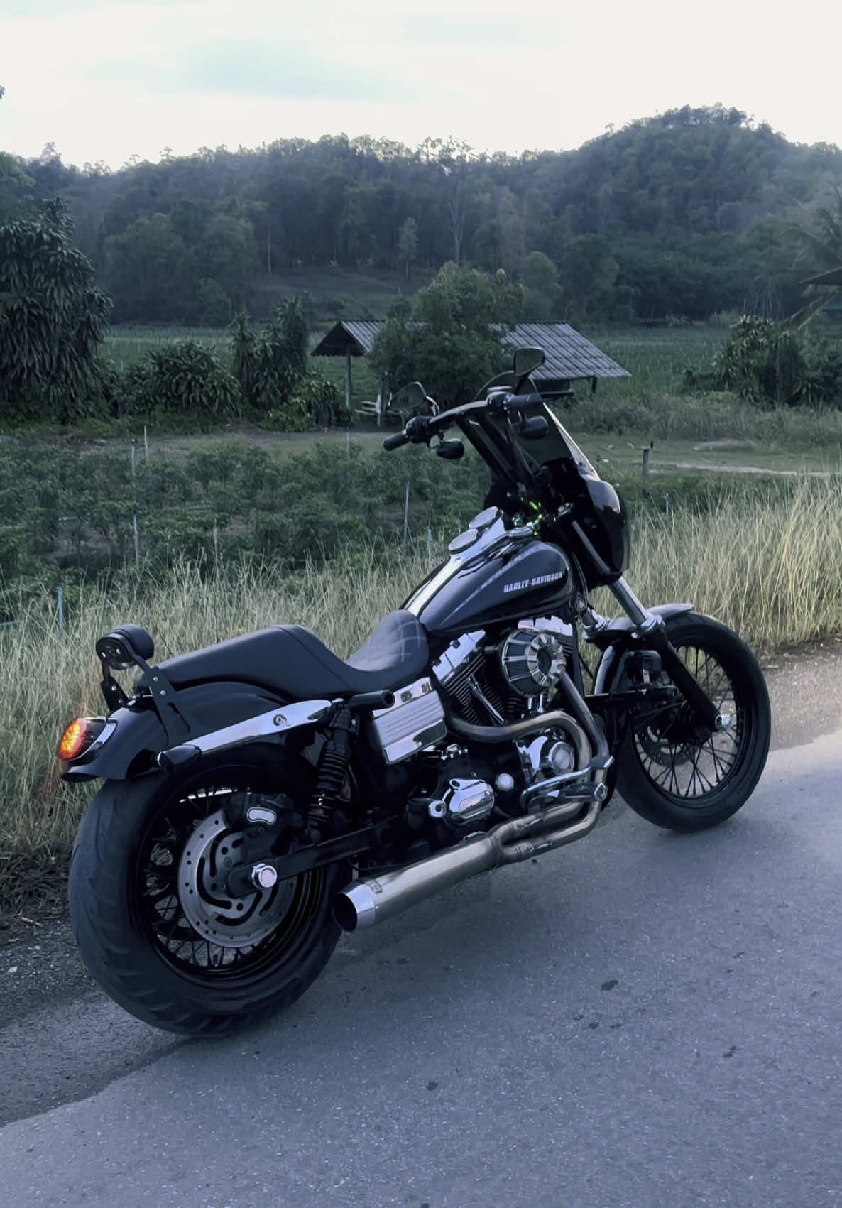 ใส่หูฟังแล้วเร่งเสียงให้ดังๆ 🫢#harleydavidson #ฮาเล่ย์เดวิดสัน #clubstyle #harleydavidsonchiangmai #เชียงใหม่ #บ่าวเหนือ #บ่าวเชียงใหม่ #camtwin #harleydavidsondyna #