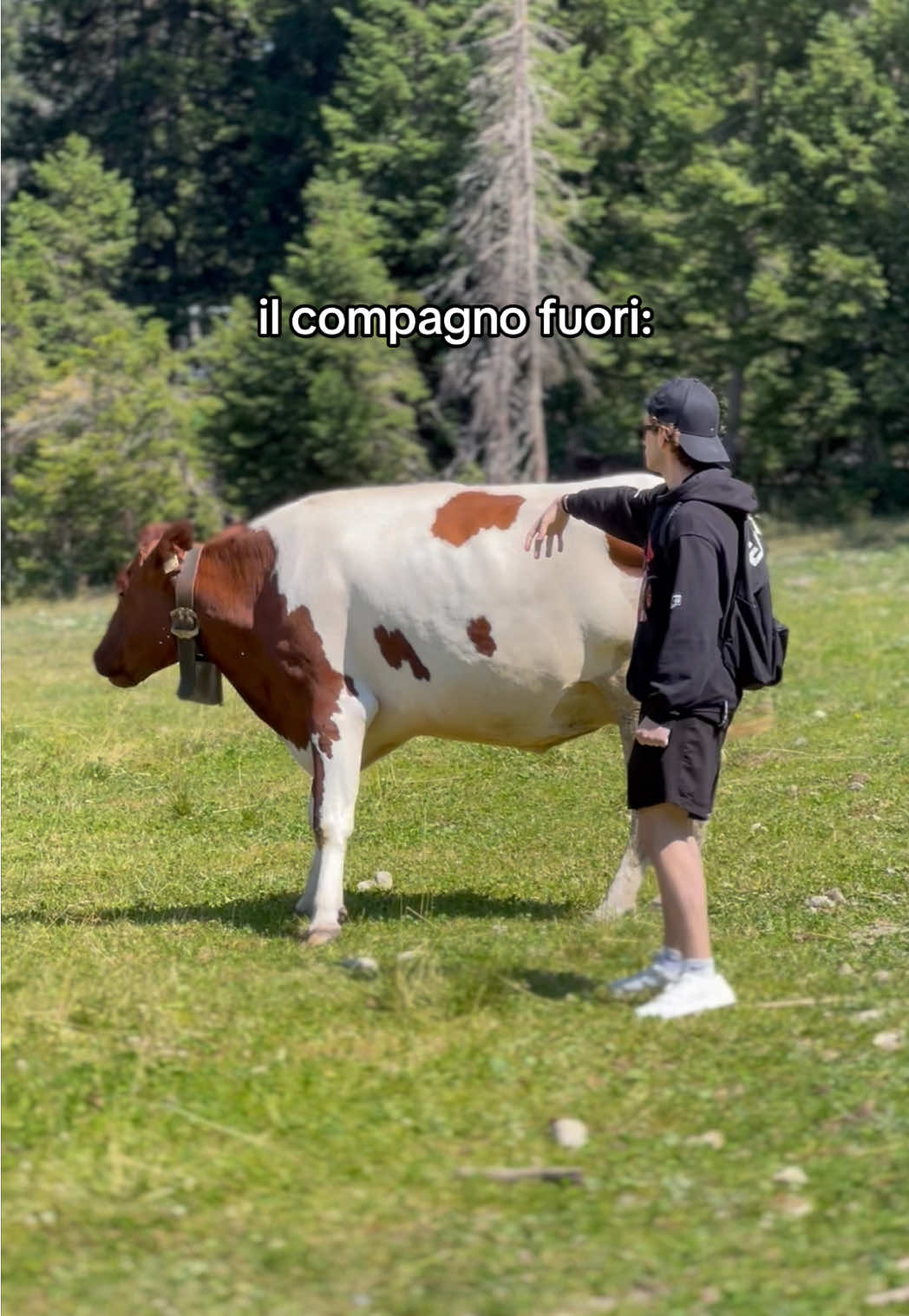 il bro sta facendo un giro🚶‍♂️‍➡️