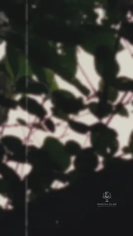 এতকাল জীবনটা কাটিল উপগ্রহের মত।  যাহাকে কেন্দ্র করিয়া ঘুরি,  না পাইলাম তাহার কাছে আসিবার অধিকার,  না পাইলাম দূরে যাইবার অনুমতি। - উপন‍্যাস - শ্রীকান্ত (৪র্থ পর্ব) শরৎচন্দ্র চট্টোপাধ‍্যায়  কন্ঠস্বরঃ নাহিদুল ইসলাম  আপনাদের আলোচনা বা সমালোচনা আমাকে নতুন কিছু শিখতে সাহায্য করে । ধন‍্যবাদ সবাইকে । ভুলত্রুটি ক্ষমাসুন্দর দৃষ্টিতে দেখবেন আশাকরি ।🤍 #bangladeshtiktok #bangladeshtiktokofficial #banglakobita #poetry #banglaquotes #priyobeli #fyp #nahidulislam @TikTok Bangladesh @tiktok creators @TikTok 