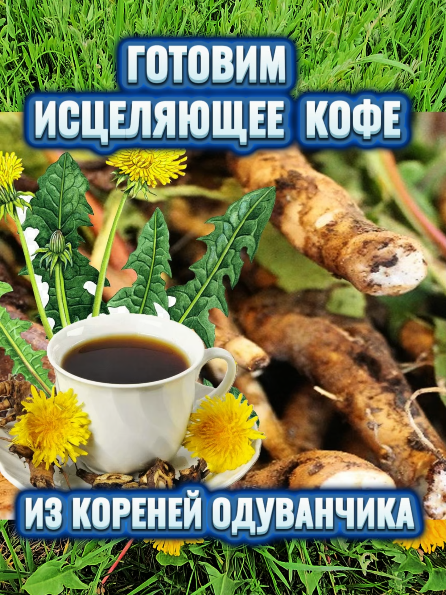 ЦЕЛИТЕЛЬНОЕ КОФЕ ИЗ КОРНЕЙ ОДУВАНЧИКА.#здоровье #наронаямедицина #самсебедокторviktor #топтикток #здоровьеикрасота #КОФЕКОРНИОДУВАНЧИКА #ПОЛЬЗАОДУВАНЧИКА #крниоуванчикапольза #лечить  Видео носит  ИНФОРМАЦИОННЫЙ  характер и не являются прямой инструкцией к действию!