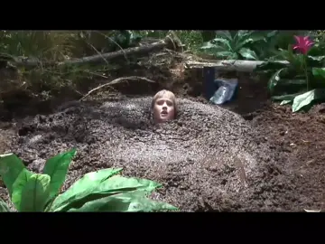 #mud #sinking #quicksand #Quicksand 