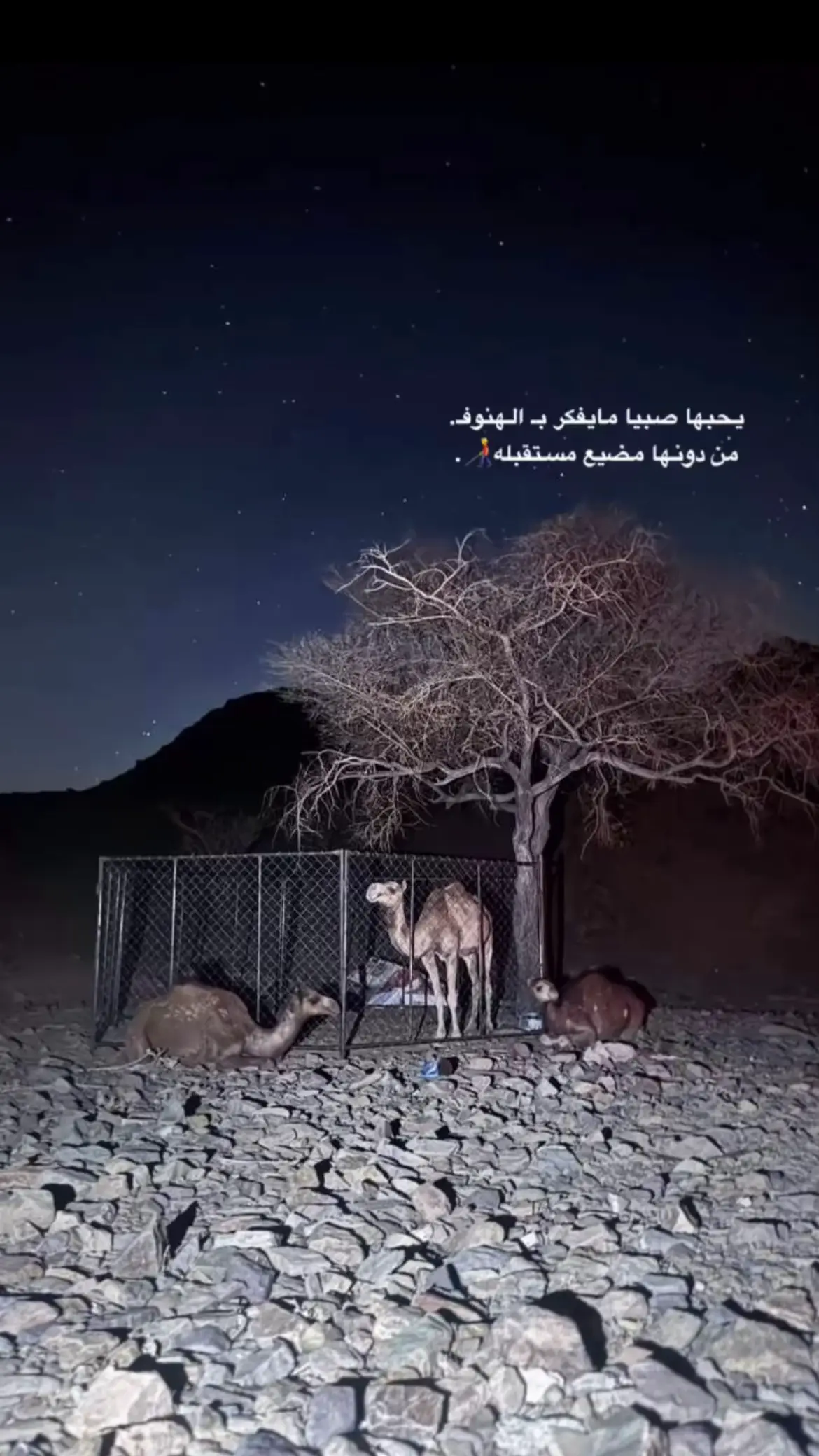#اكسبلور 