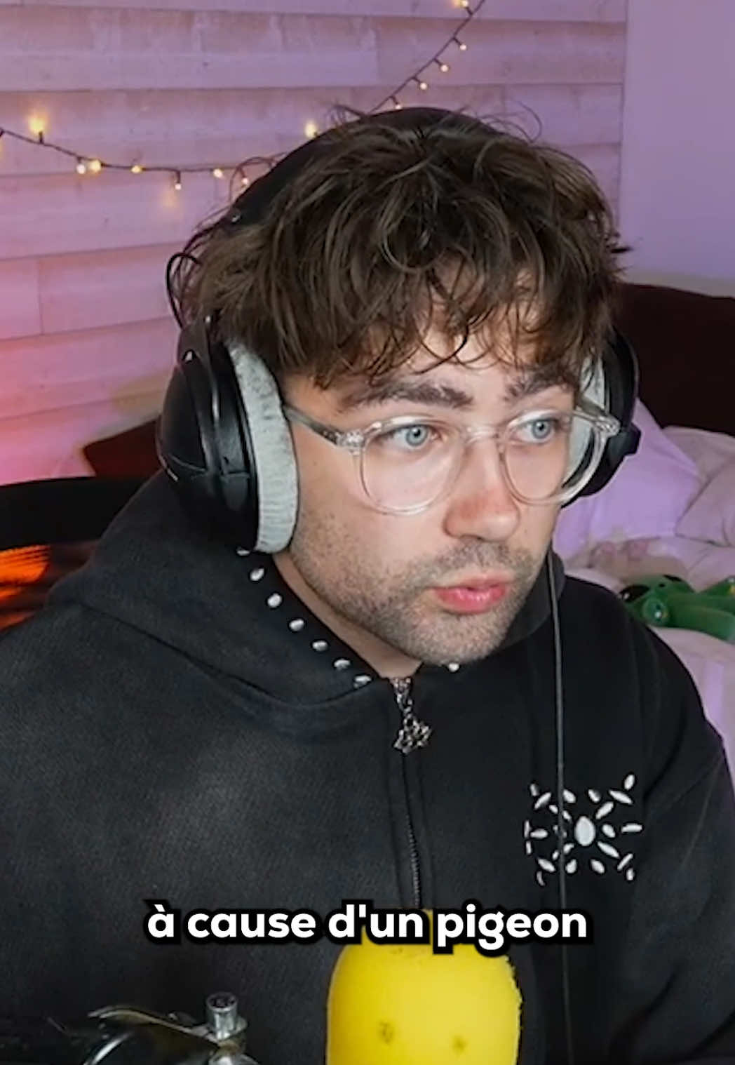 Bro ne dort plus à cause d’un pigeon 🐦