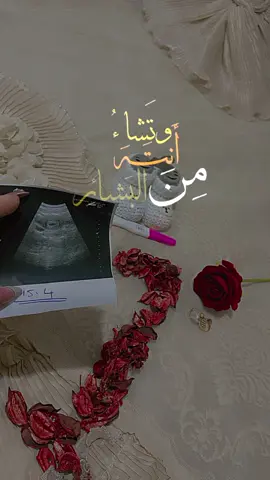 #CapCut #حملي_الاول🥺💕 #حامل_بشهر_الاول🥹💙#لحظة_ادراك_حصير_ام_للمره_الأولى 
