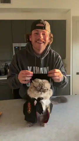 P.O. Box Haul Pt. 3!! Thank you guys so much!!❤️ #fyp #funny #catsoftiktok 