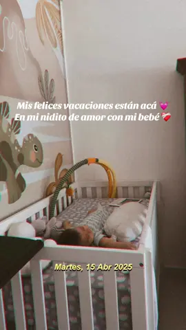 Un nidito de amor💓#vaksiones
