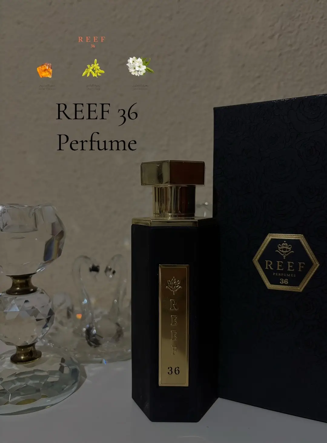 Pure luxury 👏🏼will forever be obsessed with these scents. Which would you wear?  #perfumetiktok #luxuryfragrance #saudiarabia🇸🇦 #spain🇪🇸 #oud #viralpost #tiktokindia_ #tiktokarab #paratiiiiiiiiiiiiiiiiiiiiiiiiiiiiiii #fyp #america #شعب_الصيني_ماله_حل😂😂 #usa_tiktok #tiktok_india #aestheticvideos  @ريف | REEF 