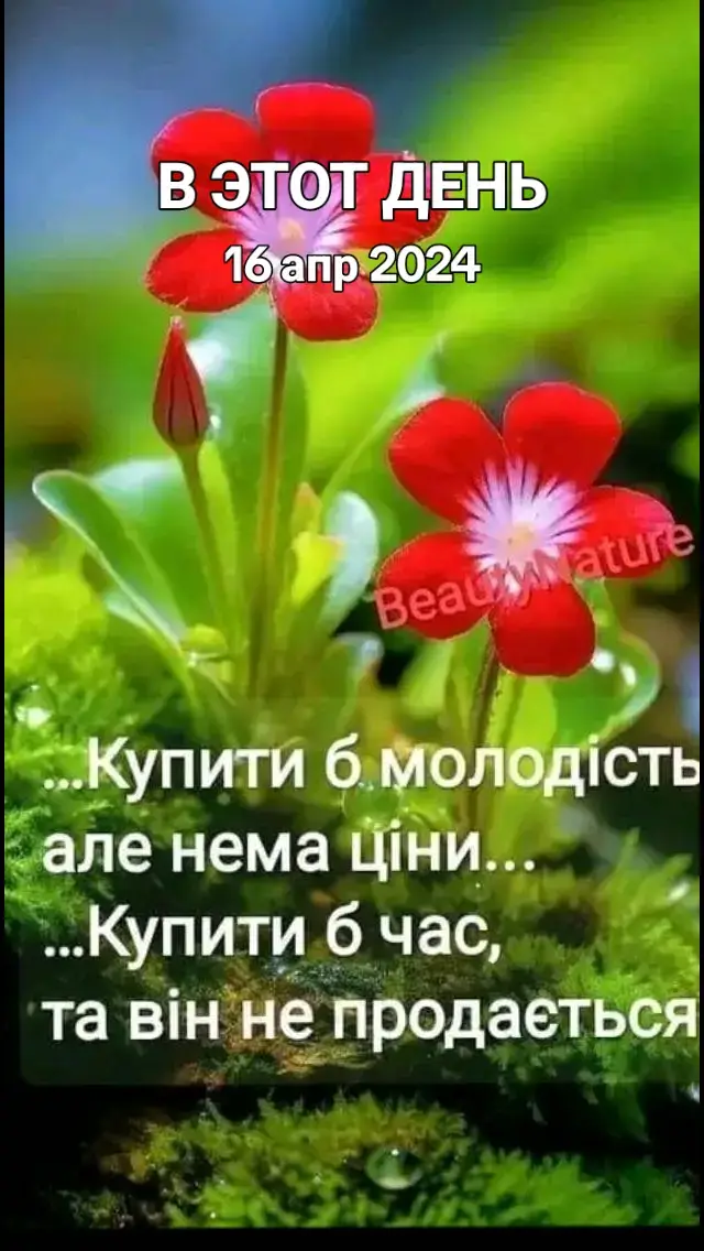 #ВэтотДень 