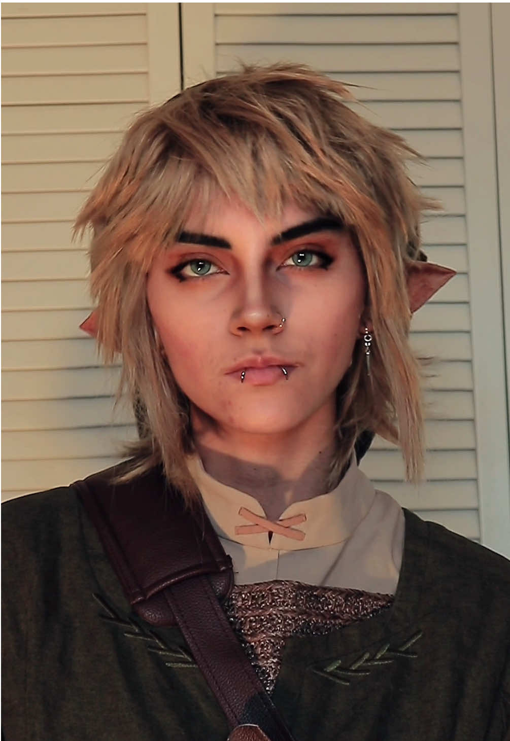 my application to be link for the upcoming live action 🙏🙏#legendofzelda #thelegendofzelda #link #linkcosplay #loz #tloz #zelda #twilightprincess 
