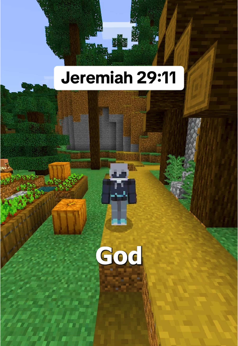 Jeremiah 29:11 God’s Plan Is Perfect #christian #christianity #Minecraft 