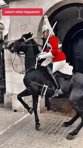 watch what happened #kingguardhorse #kingguard #royalguard 