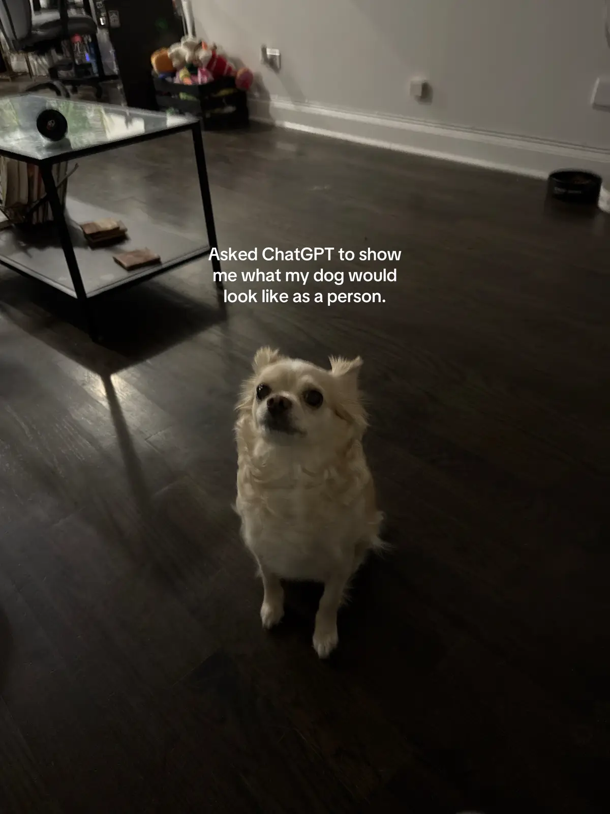 Was thinking this is how she looked in her  past life👀👀 #chatgpt#fyp#dog