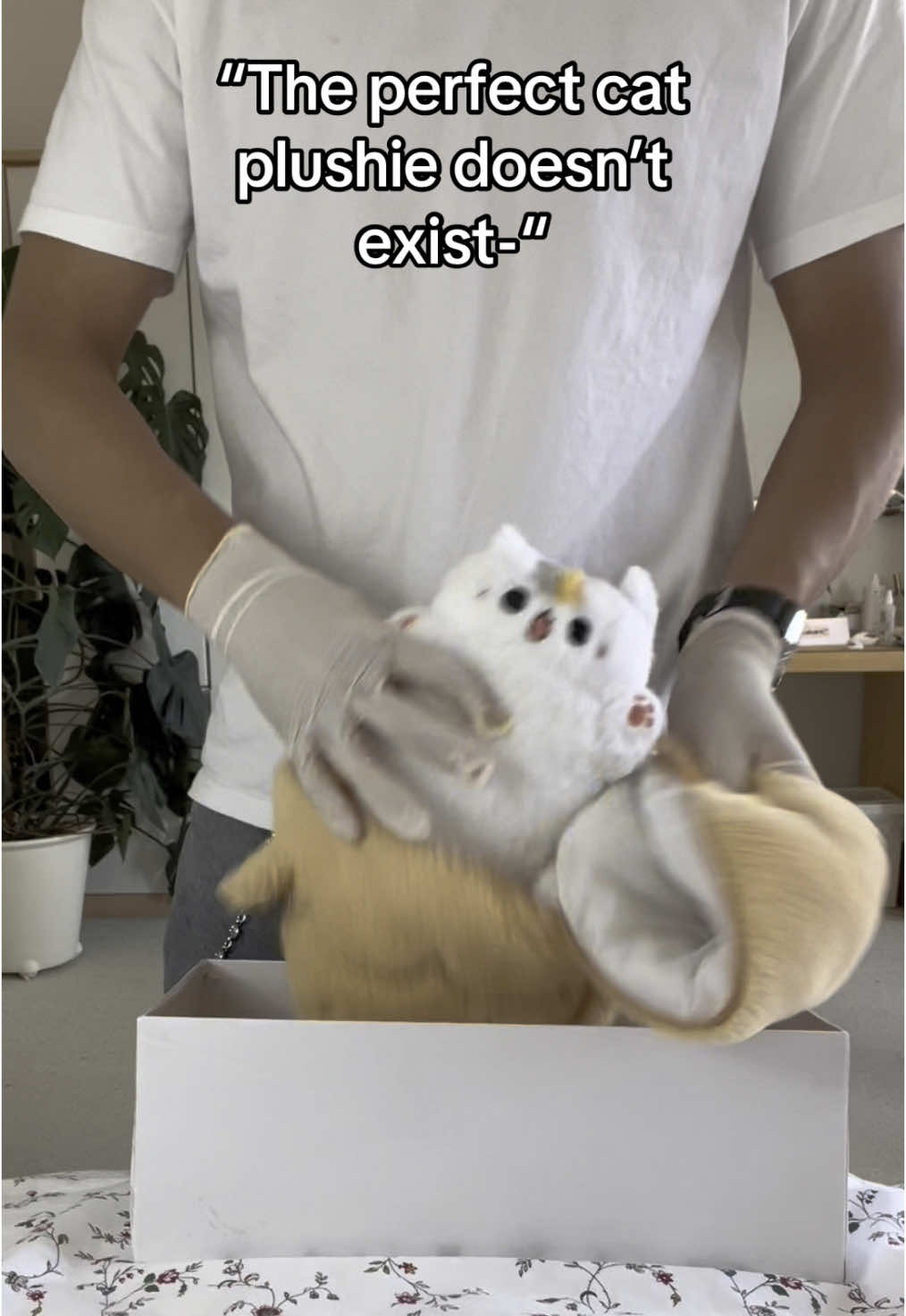 Who are you tagging?? ❤️😤 #plushies #cute #gift #cat