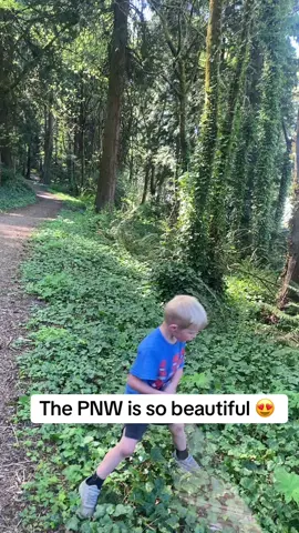 Beauty around every corner.