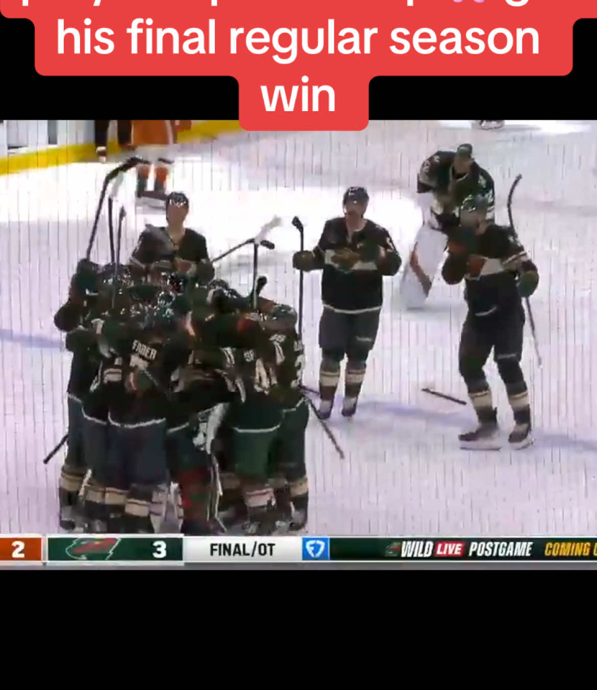 The Wild are IN the playoffs! #minnesotawild #mnwild #NHL #nhlplayoffs 