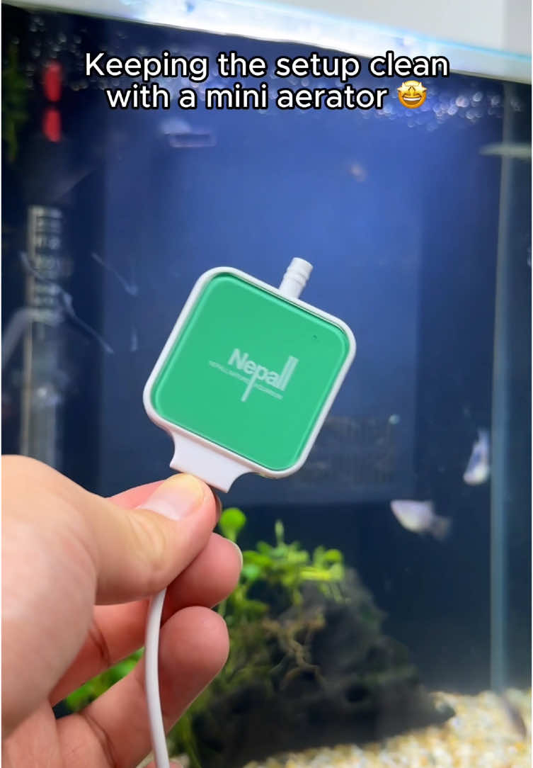 We made the WORLDS SMALLEST aerator 🐠 #aquarium #aquariumfish #fishtank 