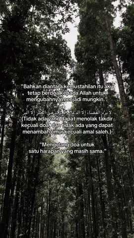 #fypage #reminder #xybca 
