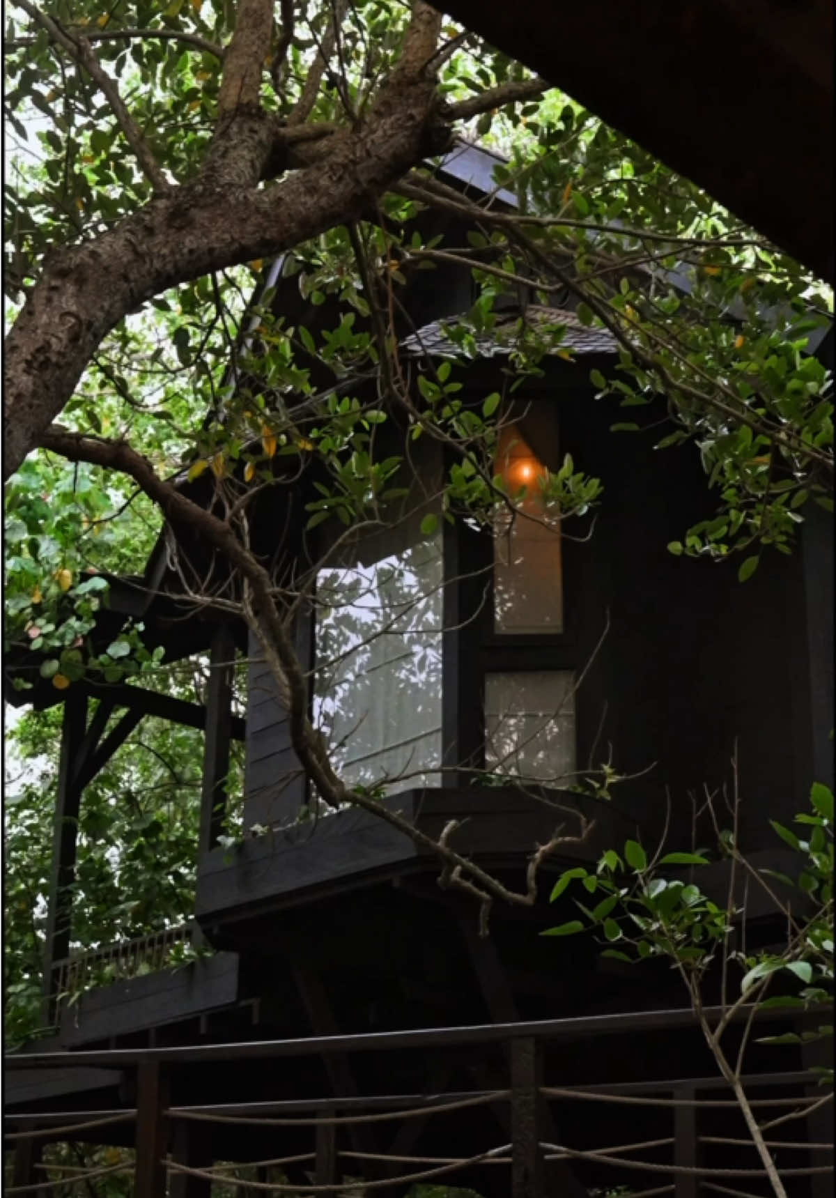Find your perfect hideaway in the heart of the mangrove forest 🍃 Wake up to birdsong and the gentle rustle of leaves, coffee or tea in hand, breakfast in bed. No need to rush — nowhere to be but here. Let this magical place fill you with energy and inspiration, awaken your creativity and desire to create. #OshomBali #OshomHotel #BaliStay #BaliRetreat #BaliVibes #BalineseEscape #OshomExperience #BaliResort #BaliTravel #StayInBali #OceanViewVibes #SerenityInBali #MindfulStay #BaliAesthetic #TropicalMinimalism #WhereCalmLives #ArchitecturalEscape #BaliWellness #WorkFromParadise #HealingPlace #YogaRetreatBali