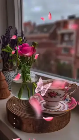 صباح الخير …. #صباح_الخير #الخليج #♥️ #🥀🖤 