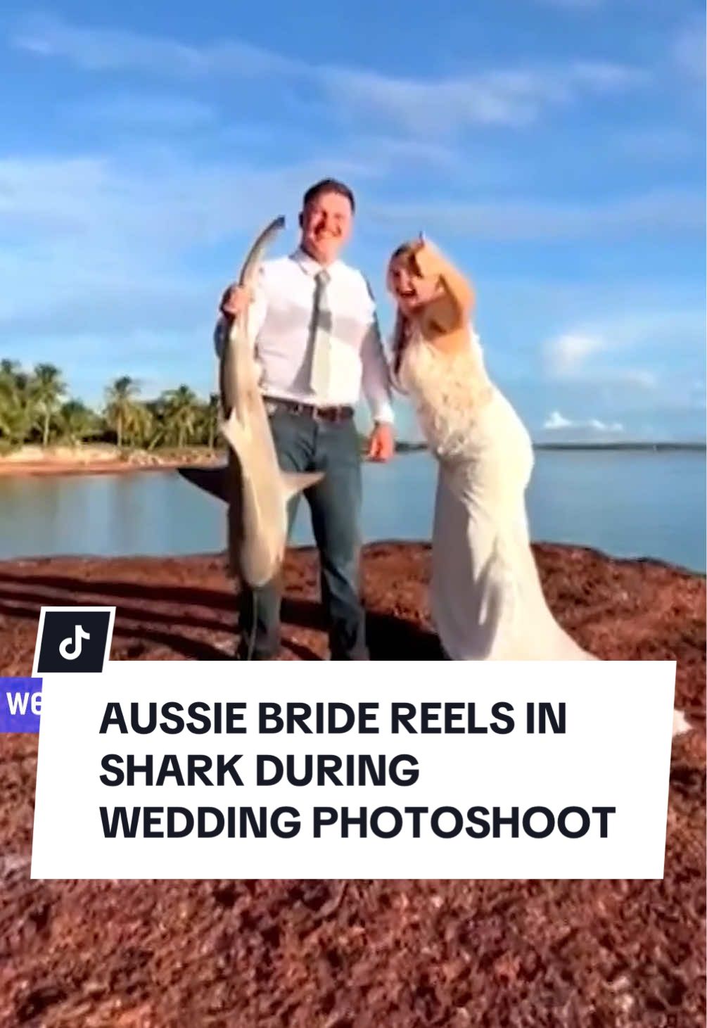 A bride in Darwin has managed to capture one of the most Aussie wedding photos ever – reeling in a shark on her big day! Click the link in the bio for more from 10 News First.