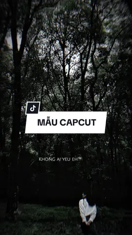 Không ai yêu em nhiều và say xưa cho bằng anh.. #CapCut #edit #mẫucapcut #xh #nhachaymoingay #lyrics #capcutmaster 