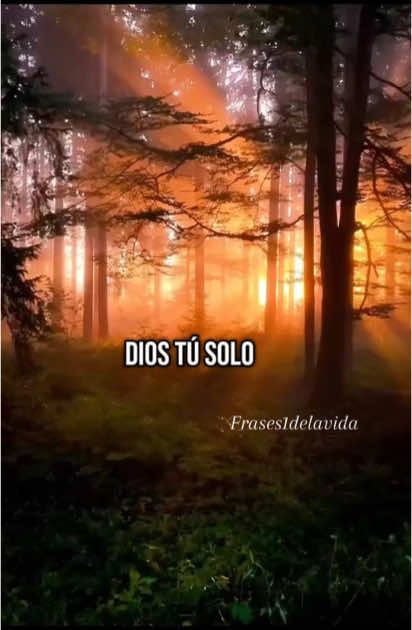Dios, tu solo dame salud que yo lucharé por todo lo demás.            #frasesdelavida #motivacion #reflexion #fe #Dios #exitopersonal #actitudpositiva #reflexiondelavida #reflexionesdelavida #frases1delavida 