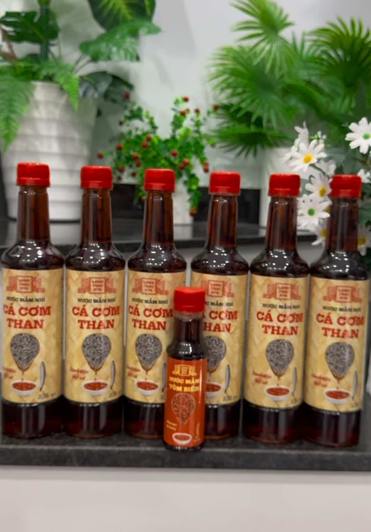 Thùng 6 chai Nước mắm cá cơm than làng chài xưa chỉ 195 miễn ship tặng 1 chai nước mắm mini tôm biển##emkieutaphoa##nuocmam##nuocmamcacomthan##nuocmamcacom##nuocmamtombien