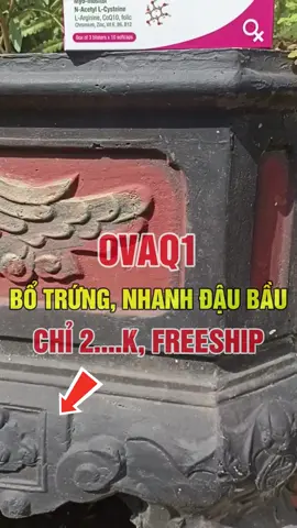 OvaQ1 chỉ 2...k, freeship #ovaq1 #ovaq #botrung #caucon #mongcon #xuhuongtiktok2025 #xuhuongtiktok #xuhuong #xh 