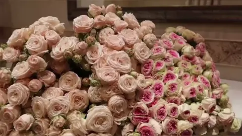 part 2| I'm so obssesed with flowers 💐 ❤️‍🩹                                                  #pretty #beauty #flowers #pinterest #aesthetic #dark #ryp #foryoupagee #peonies #flower #fy #foryou #pinterest #aesthetics #flowers #bouquet #standards #vibe #fyp #angelsinparisx #aesthetic  #moodboard #lilies #pinklilies #bouquet #flowers  #foru #foryou #aestheticvibes #peony #flowers #fyp #foryou #greenscreen #tvougrob #Flowers #Lifestyle  #Love #aesthetic #moodboard #flowers #xybca #icon #fyp #GlowUp #selfrespect #blessed #elegance #fyp #explorepage #foryoupage #tiktok #viral #foryou #girlhood  #aesthetic #fyp #viral #inspo #relatable #repost #foryou #2025 #2024 #newyear #bestfriend #2021 #relatable #fyp viral #OOTD #fyp #viral #relatable #repost #foryou #mindset #2025 #lilie #lily #lilybouquet #lilies #hibiscus  #ramos #ramobuchon #Love #forher #spring #blooms #fyp 