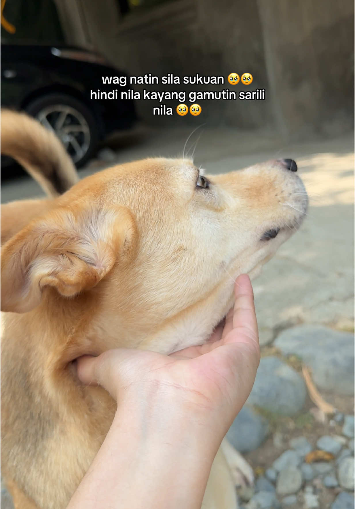 wala na panot bebe ko 🥹🥹 #doglover #dogsoftiktok #catlover #furoparents #furbabies #furmom #foyouuu #viralvideo #puainta #pipotskinspray 