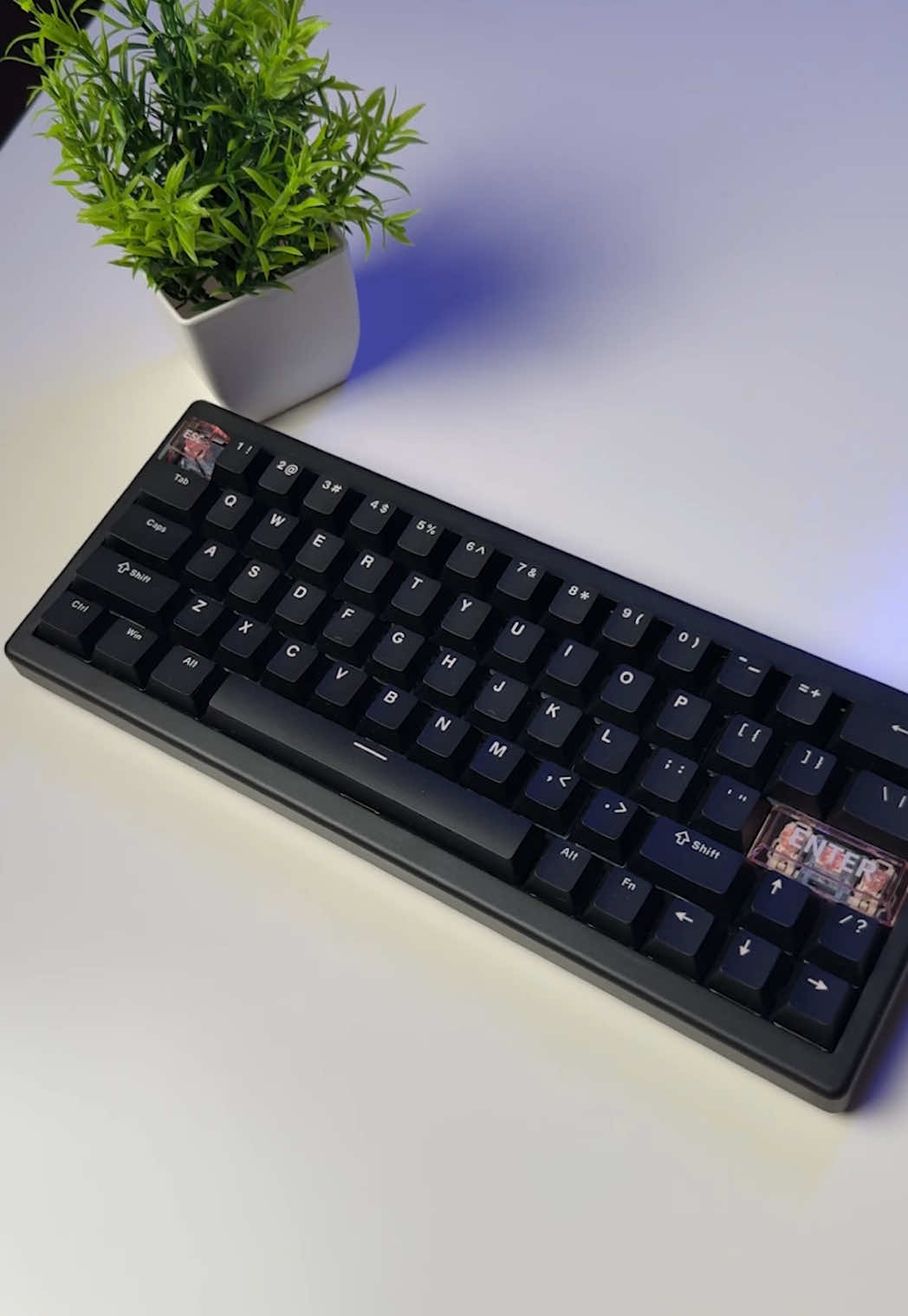 Лучшая бюджетная клавиатура в 2025 году. Обзор Cidoo C60 HE @mechlands #mechlands #бюджетная #клавиатура #пк #девайсы #сетапгеймера 