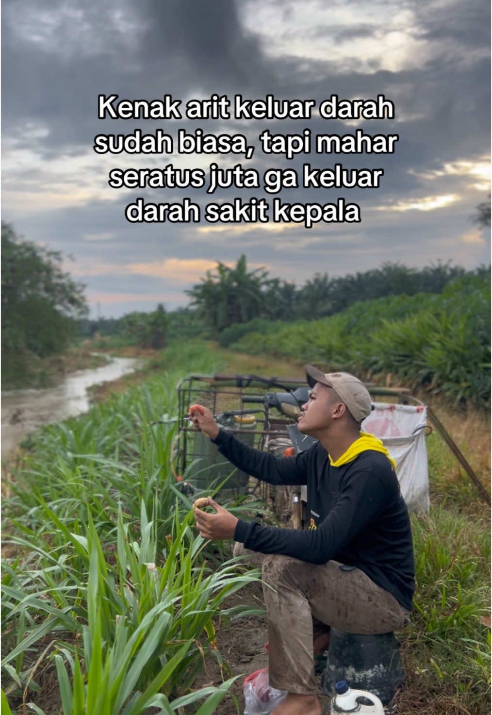 Pening la dek 🤣🤭#peternakmuda #peternaksapiindonesia #nik #ngarit #masukberanda #fyp 