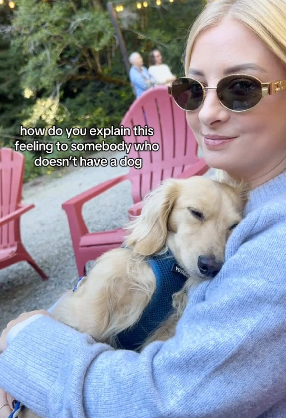 when you’re their safe space 🩵 (ig longboy_louis) #dog 