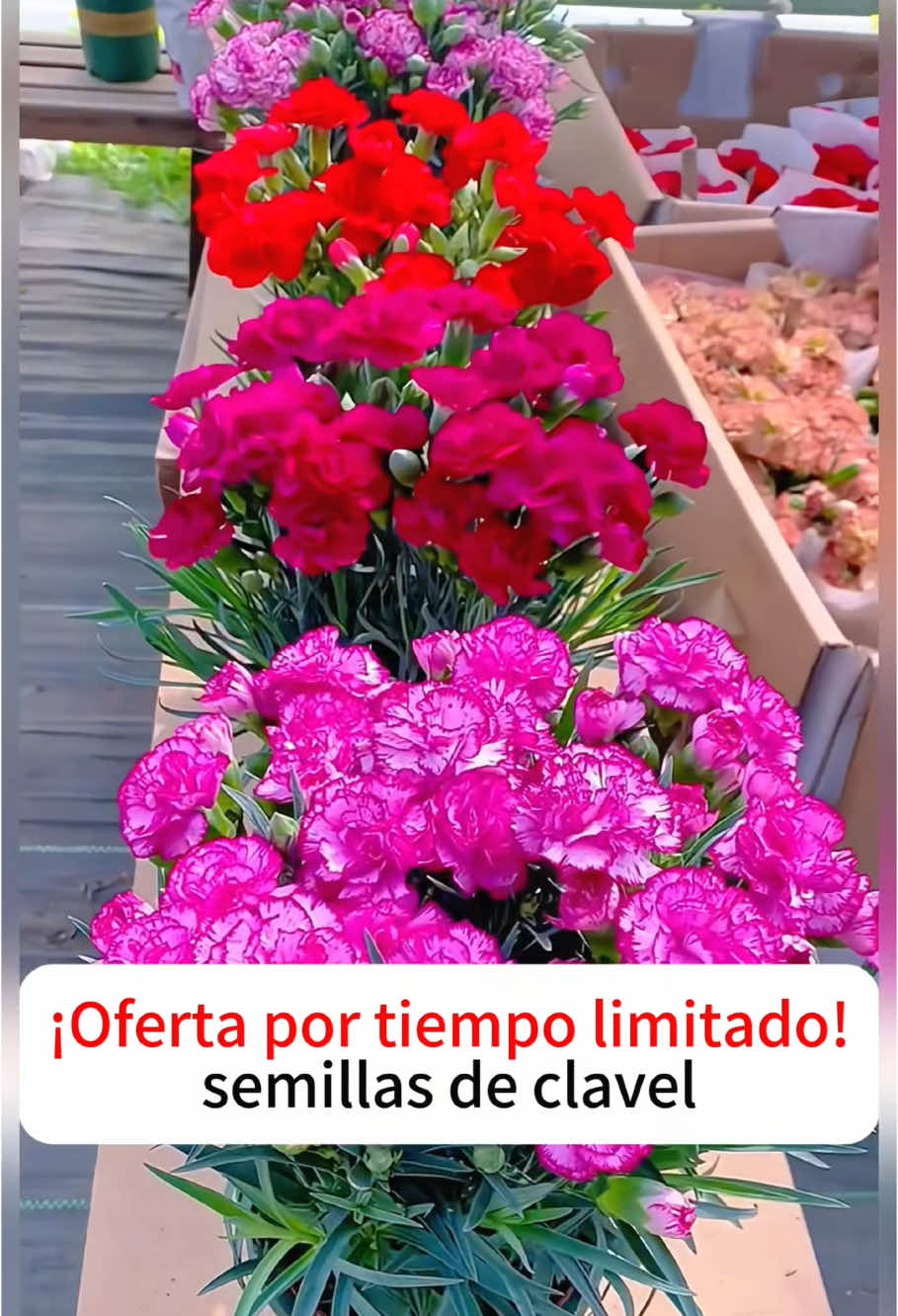 #foryou #dealsfordays #TikTokShop #fyppppppppppppppppppppppp #goodthing #TikTokShopLoveAtFirstFind #spotlightfinds #fypシ  #TikTokShopSpringGlowUp#TikTokShopMothersDay#TikTokShopRestock
