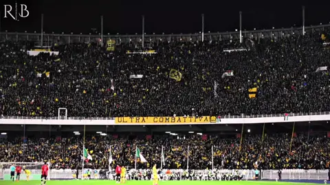 🟡 شاهد كراكاج كومباتيفا في دقيقة 74  🖤💛⚒️⚒️ #usmh #usmh_ma_vie #usmmc #الحراش #إتحاد_الحراش #f #fyp #شعب_الصيني_ماله_حل😂😂 #combativa 
