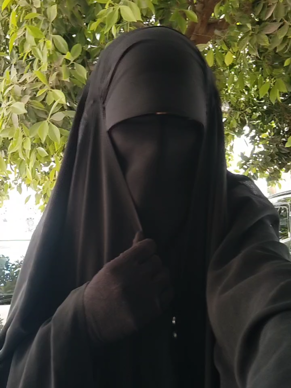 طبعًا تُحفة وكل حاجة😂، بس خاينا مُتفقين إننا في الإسلام اتعلمنا إننا منرُدش الإساءة بإساءة ونتعامل معاه بأخلاق ديننا.. قال تعالى: 