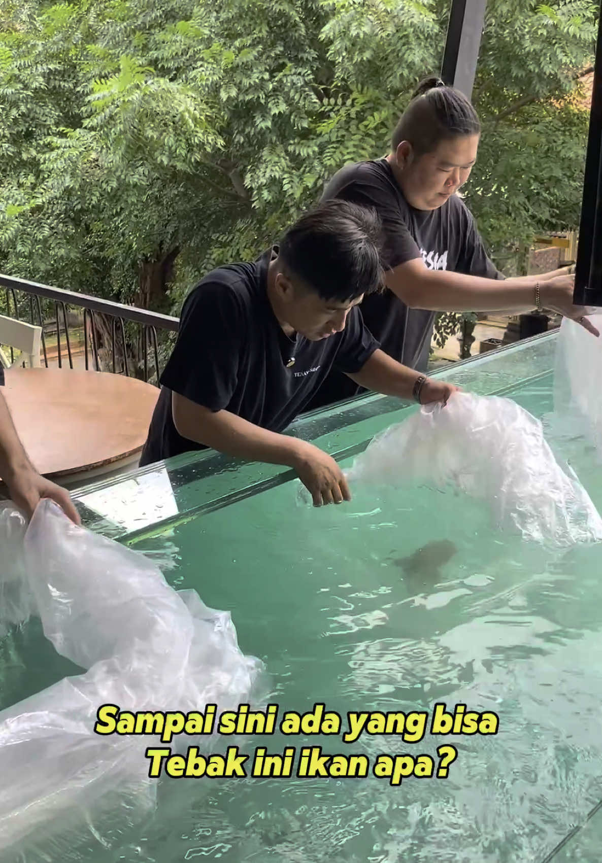 ini dia penghuni aquarium gantung deHakims..