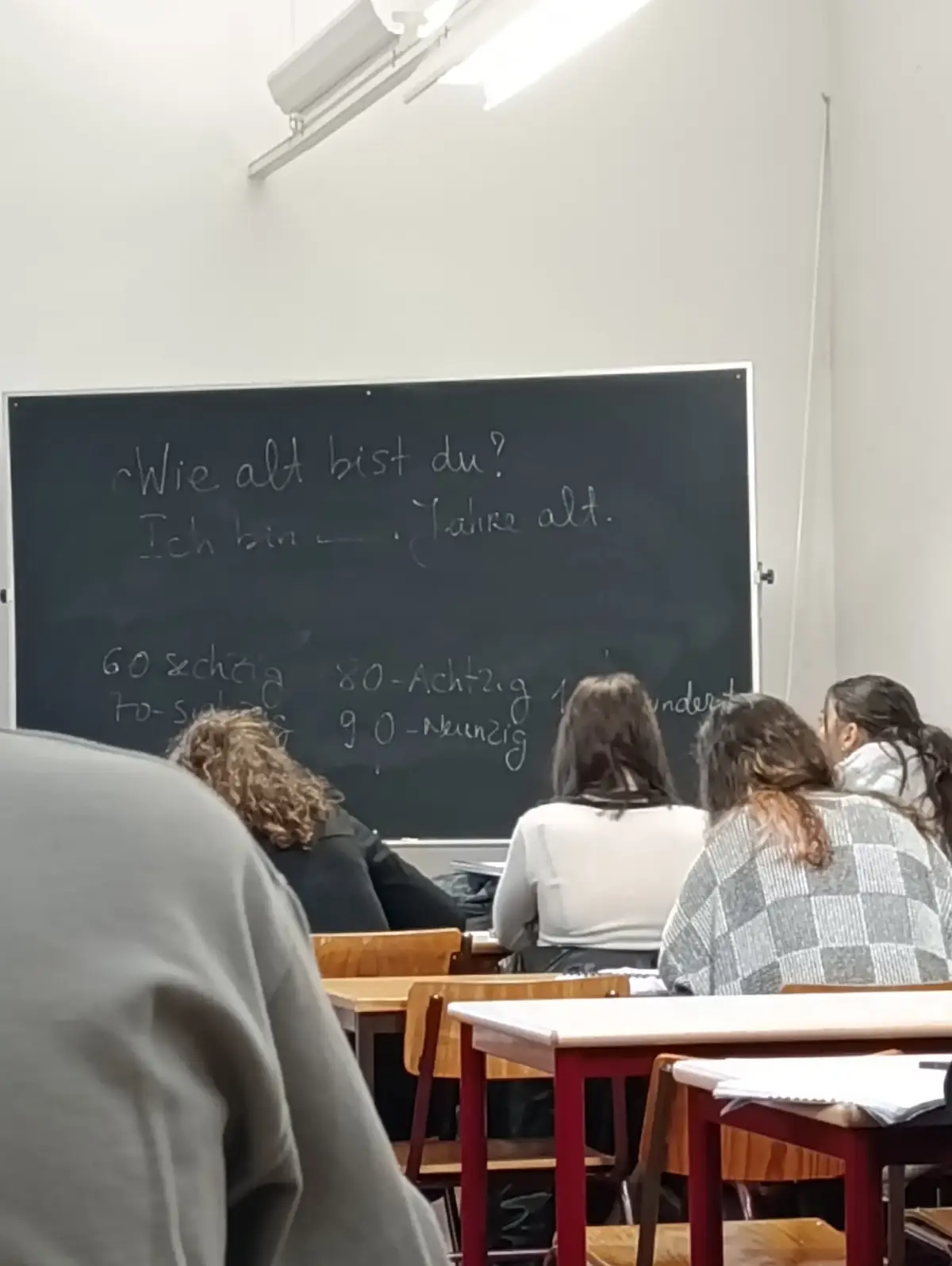 Perdidos e achados: Pessoas, Animais e Natureza. Protas: o meu clone e o amendoim torrado🥜  #fyp 