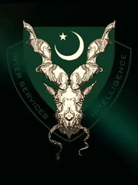 #CapCut #viral #tiktok #viralvideo #fyp #foryoupage @TiktokPakistanOfficial @PTI OFFICIAL @TikTok @Ukraine @Pakistan army zinda abad ⚔️ 