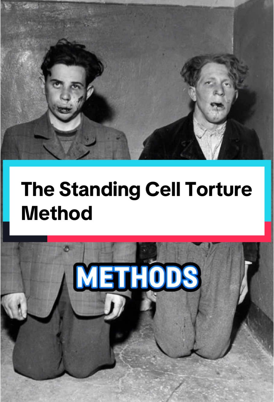 The Standing Cell Torture Method #history #historicalfacts #disturbing 