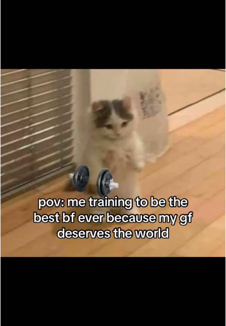 anything for her #gf #ilovemygf #girlfriend #bf #Relationship #couple #couplegoals #cat #catsoftiktok #kitty #cute  #fyp 