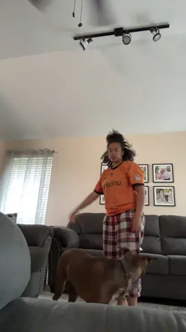 Do the lil wiggle get them distracted grab the toy throw. 
