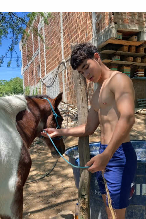 meu irmão não gravou direito kkkk #no #nó #lacada #laçada #banho #animais #cavalo 