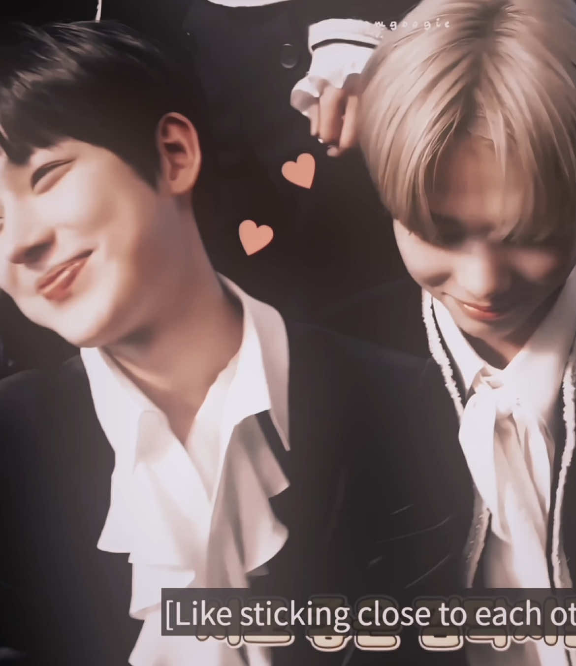 #SUNOO + #NI_KI | who is the sunoo to my riki  #niki #nishimurariki #nikienhypen #sunoo #sunooenhypen #sunooedit #sunki #sunkiedit #softedits #kpopedits #fyppp #viral #foryouu  scp kaeyuns 