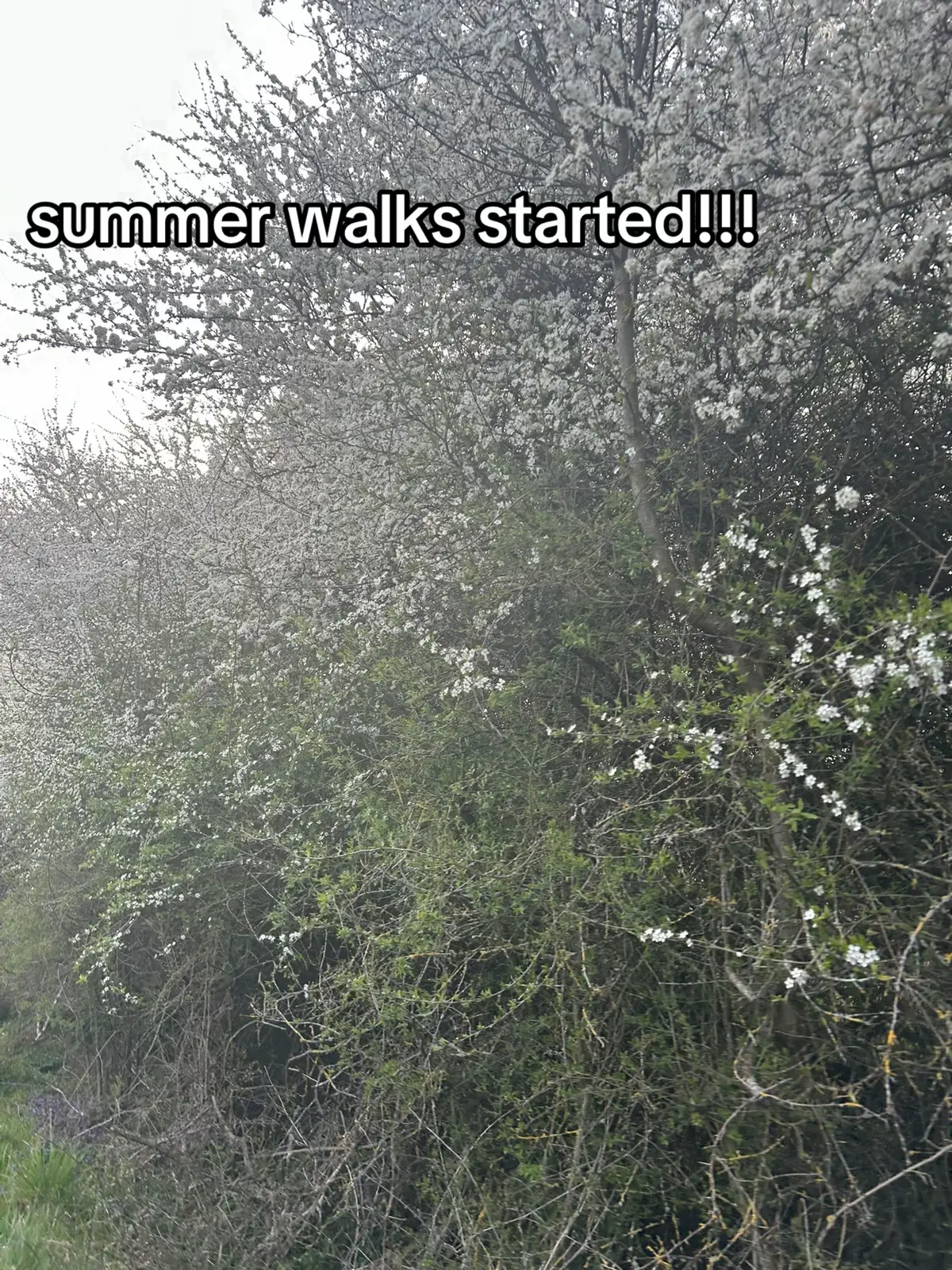 #fyppppppppppppppppppppppp #walks #viral #xybcba #Summer #sunsets #fyp #blowup? #foru #foryoupagе 