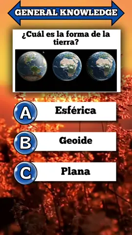 Quiz cultura general! #quiz #culturageneral #generalknowledge #quiztime #quizz #challenge #preguntas #preguntasyrespuestas 