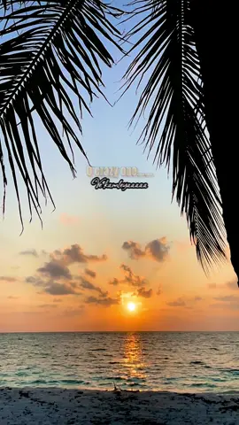 Ve kamleya                     #fyp #foryoupage #bollywoodsong #hindisong #foryou #sad #hearbroken #lyricsvideo #sunset #sunset #beachvibes #vekamleya 