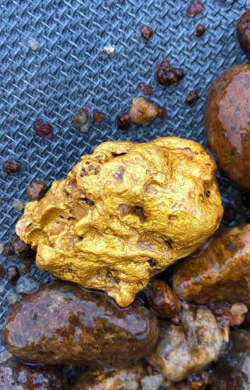 Pedrock Gold Prospecting! ⛏️💰#gold #ouro #camp #garimpo 